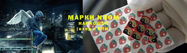 2c-b Пестово