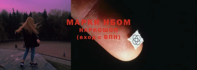 2c-b Пестово