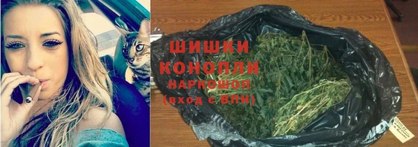 spice Абаза