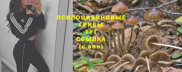 Альфа ПВП Абинск